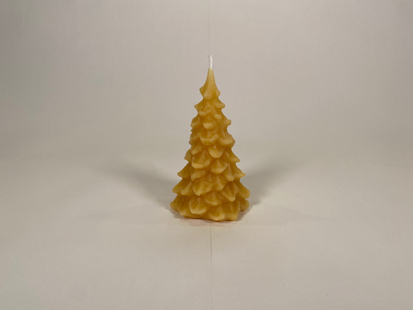Scalloped Tree