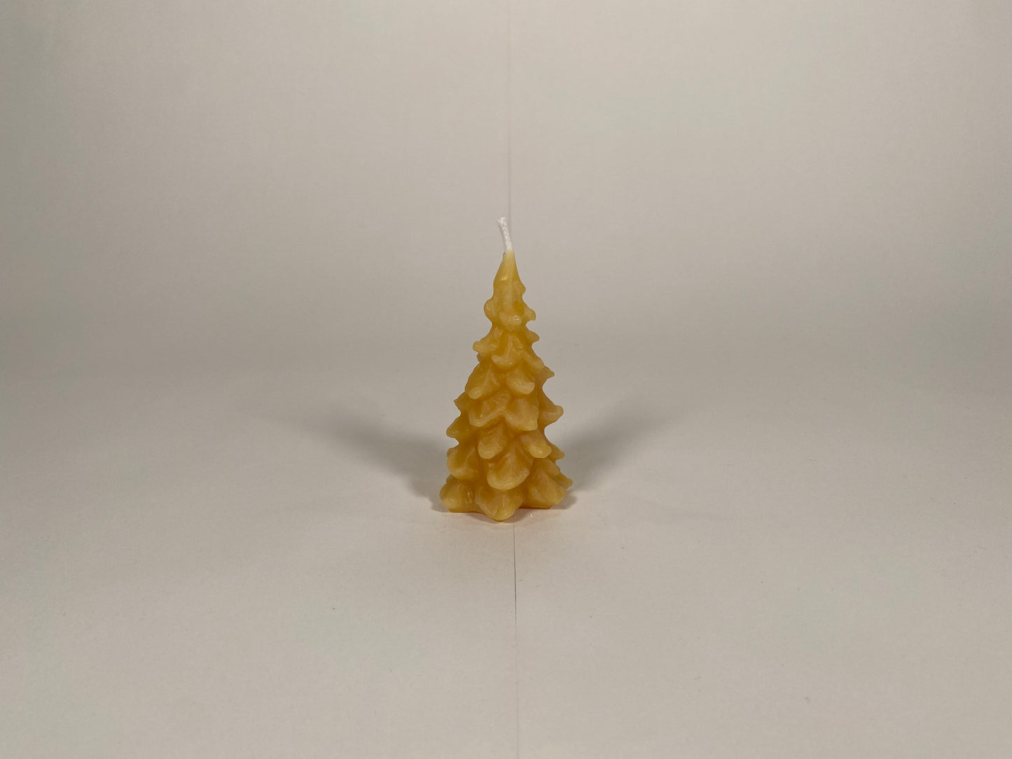 Scalloped Tree