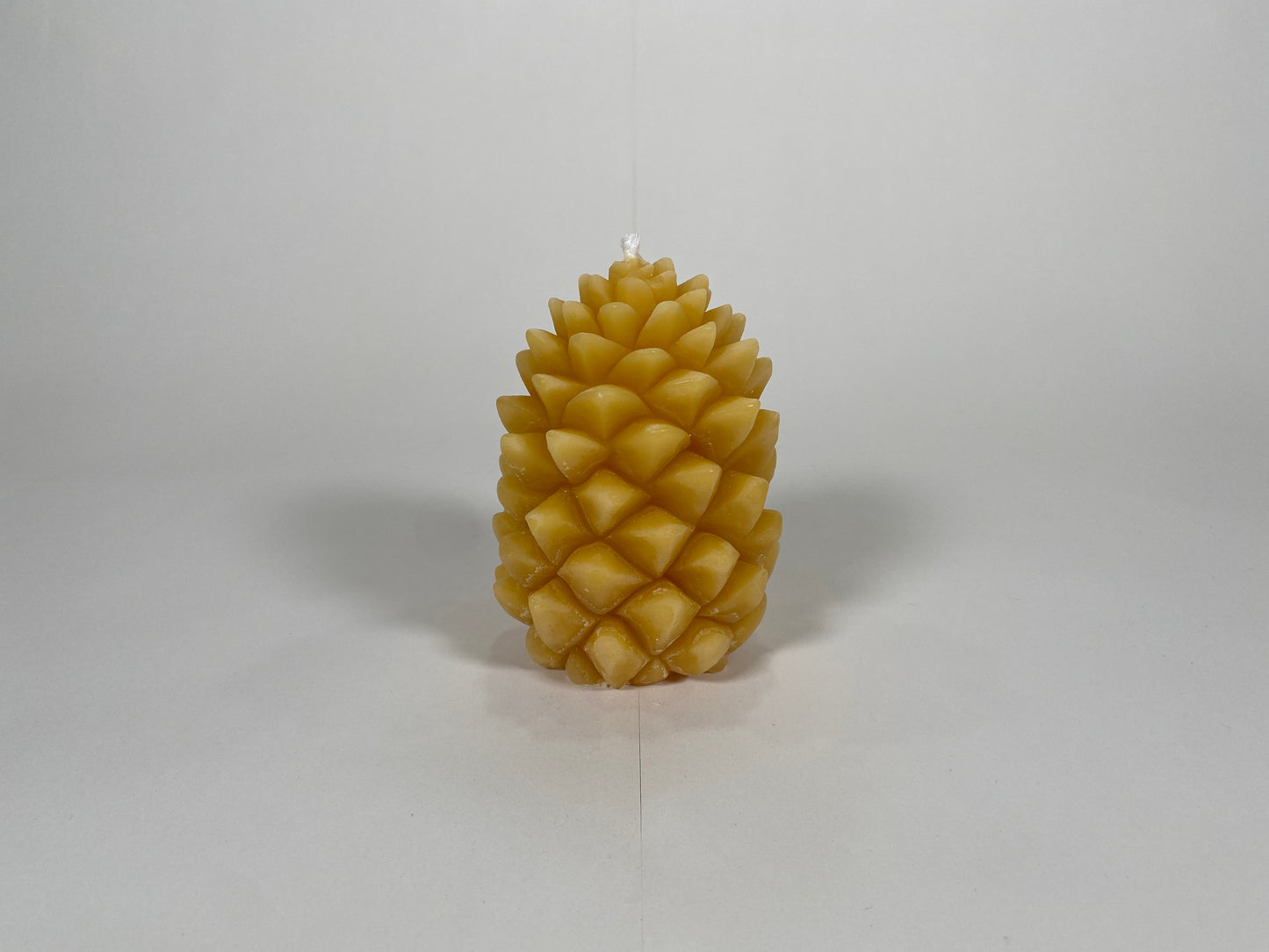 Pinecone