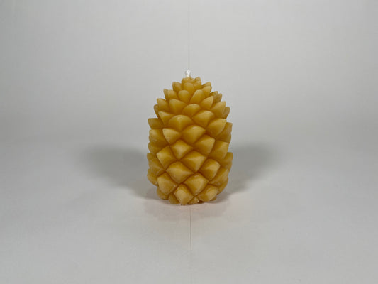 Pinecone