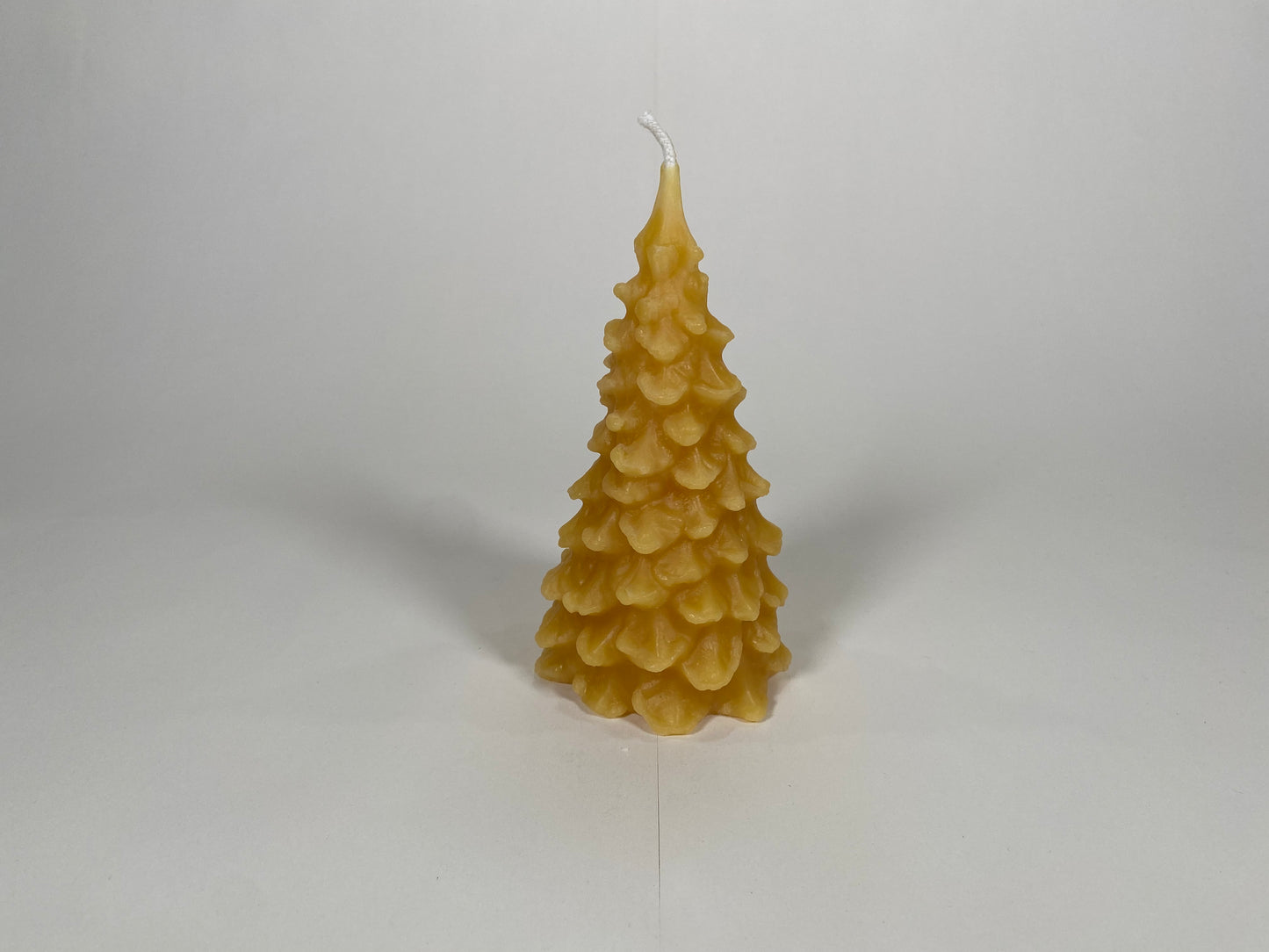 Scalloped Tree