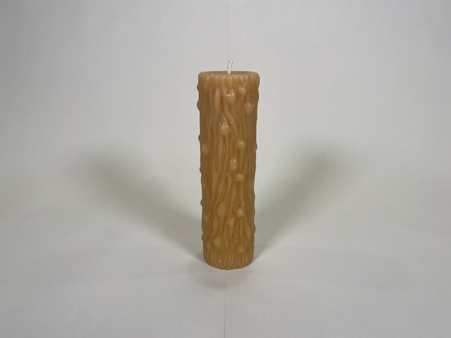 Tree Trunk