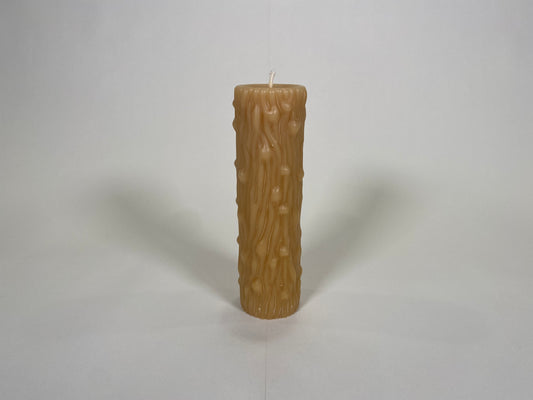 Tree Trunk