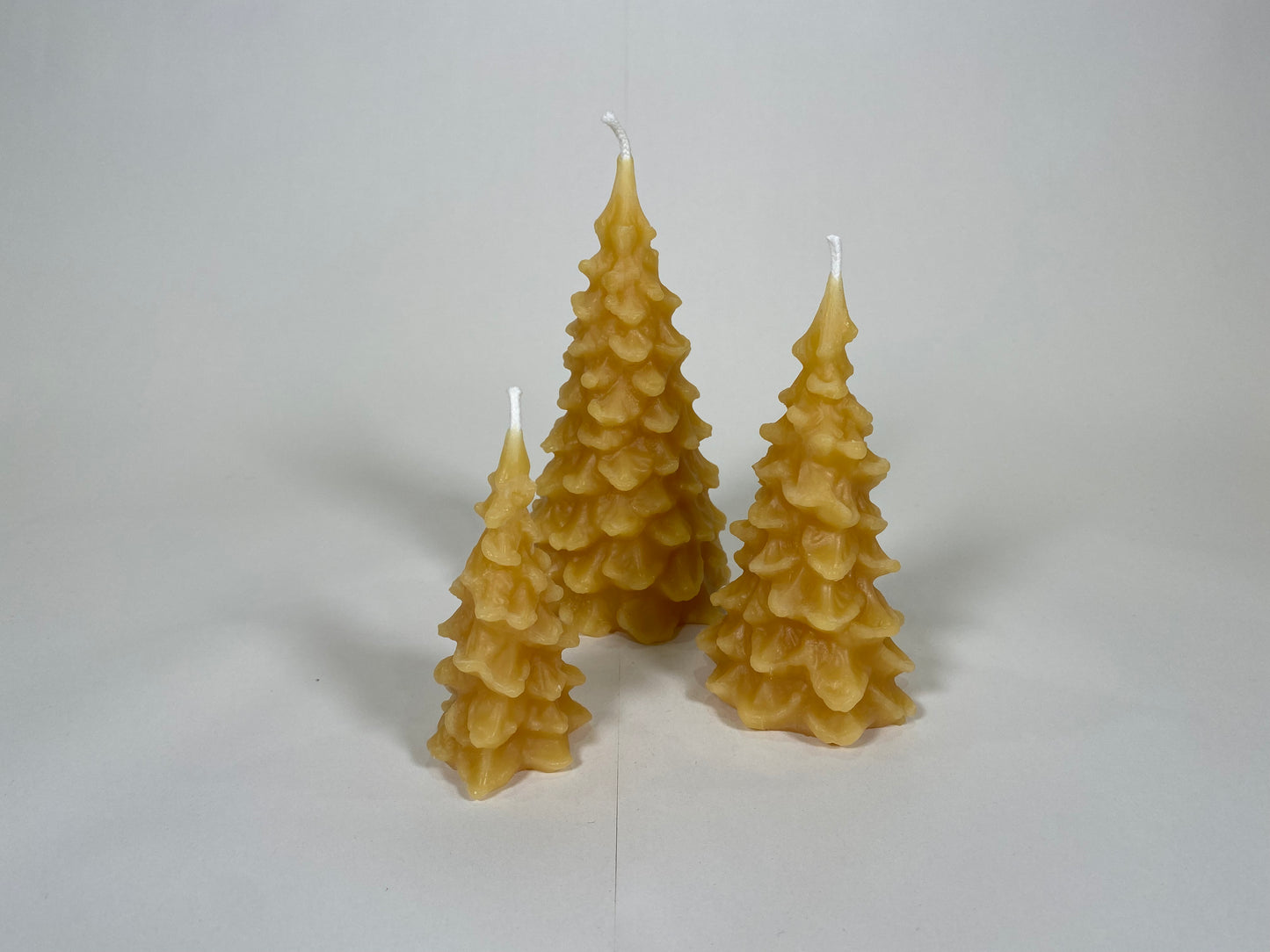 Scalloped Tree