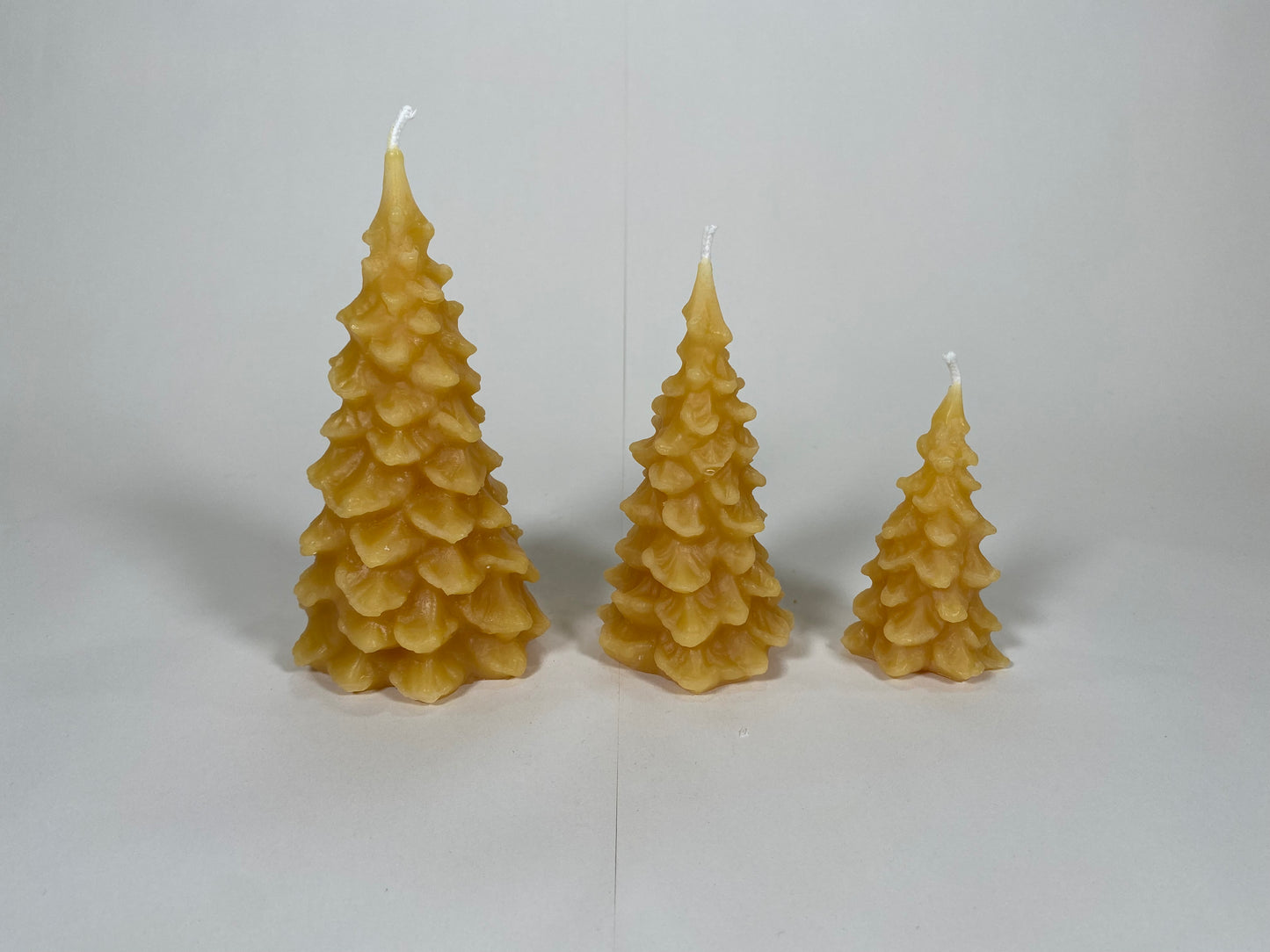 Scalloped Tree