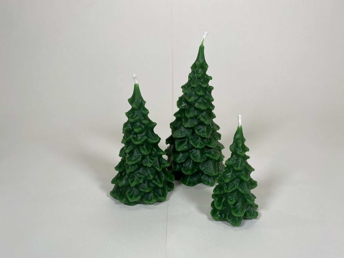 Scalloped Tree