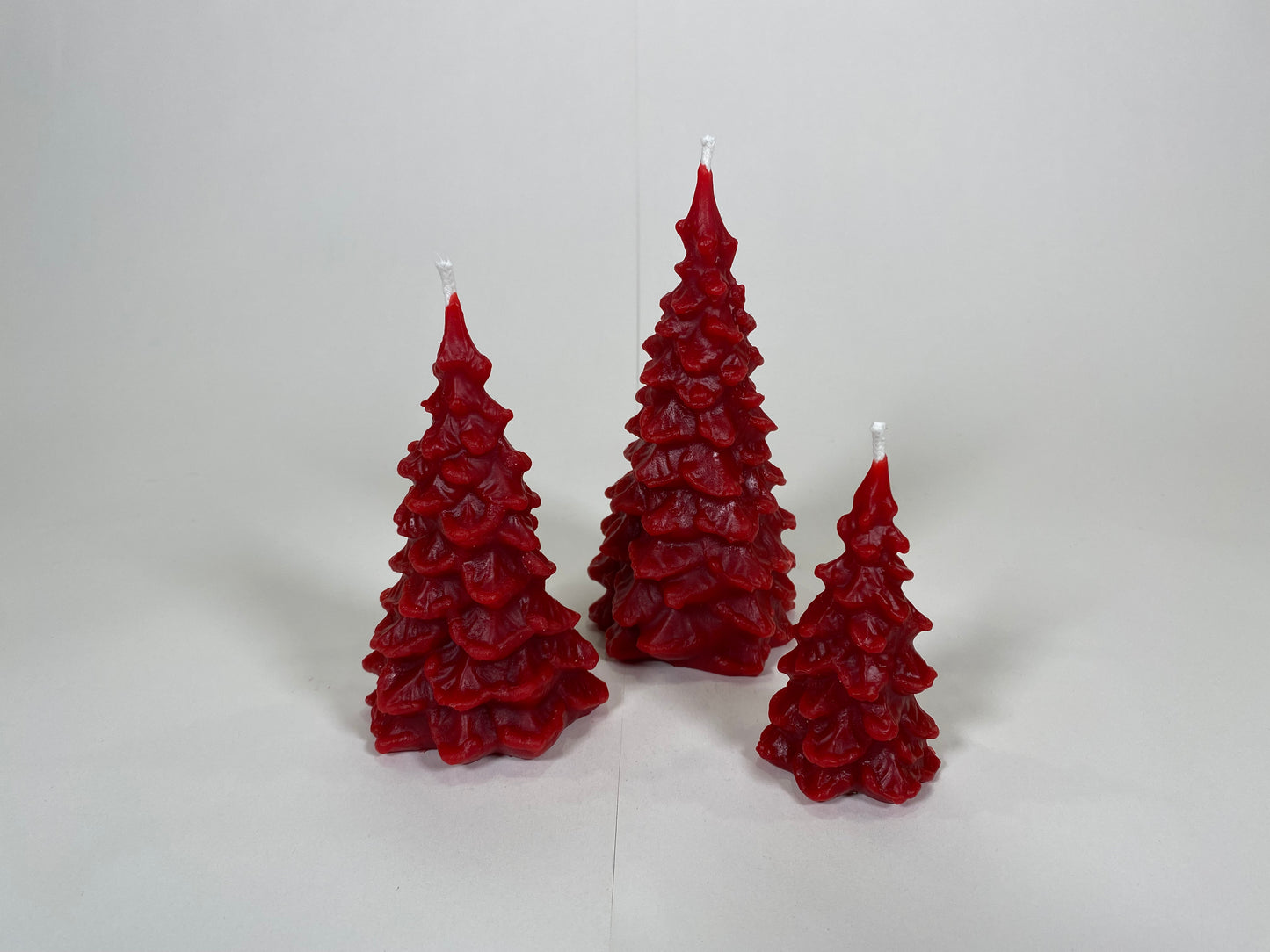 Scalloped Tree