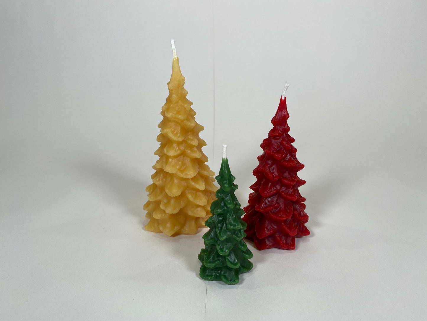 Scalloped Tree